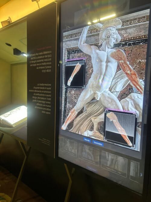 Quando l'arte si ascolta: la mia sonificazione delle tavole anatomiche attribuite ad Anton